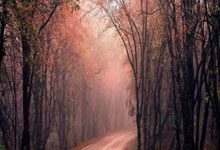 超凡国际官网:世预赛-罗梅尼连场破门 印尼1-0巴林积9分六月能送国足出.