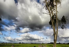 超凡国际官网:出奇招!科瓦奇亲自在多特更衣室选择球员做话事人,方便传达任务.