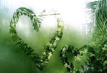 詹姆斯，再创一纪录！.