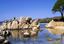 [图]林诗栋3-0战胜阿里 晋级乒乓球亚洲杯16强.